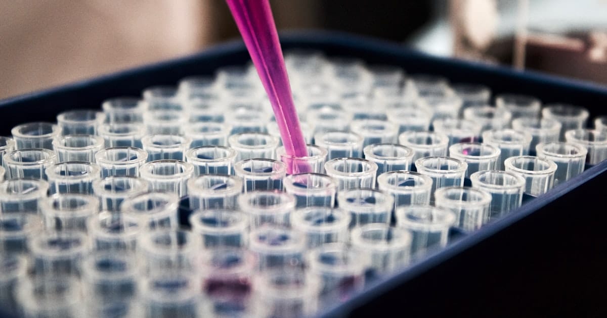 web para laboratorios de análisis clínicos en Argentina — laboratorio moderno